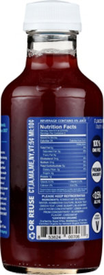 Aqua ViTea Bluebernie Kombucha - 16 Fl. Oz. - Image 6