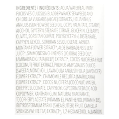 Primal Elements Honey Oak Solid Moisture Balm - 2 OZ - Image 4