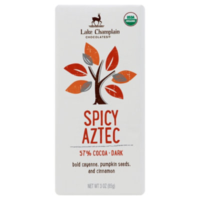 Lake Champlain Organic Spicy Aztec Chocolate Bar - 3 OZ - Image 1