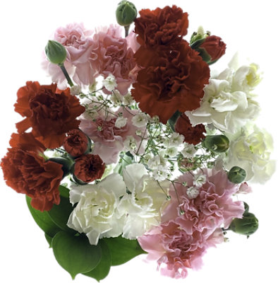 Bouquet Min Carnations Rainbow - Each - Image 1