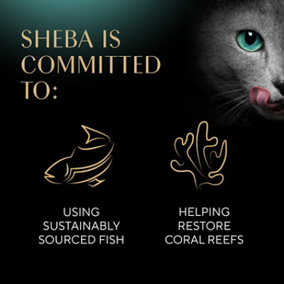 Sheba Perfect Portions Bistro Chicken In Alfredo Sauce Adult Wet Cat Food Twin Pack Tray - 2.6 Oz - Image 3