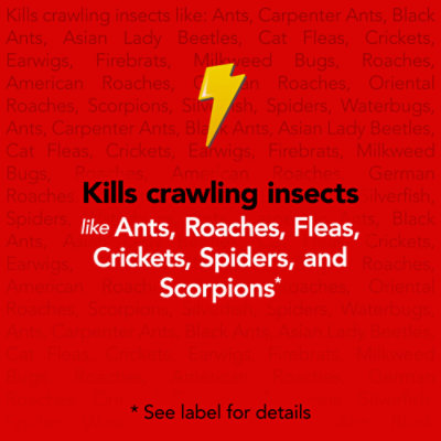 Raid Max Ant And Roach Killer Insecticide Aerosol Spray - 14.5 Oz - Image 3