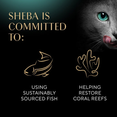 Sheba Salmon In Creamy Sauce Wet Cat Food - 2.64 Oz - Image 4