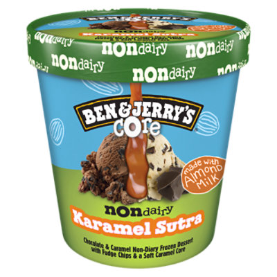Ben & Jerry's Karamel Sutra Core Non Dairy Frozen Dessert - 16 Oz - Image 1