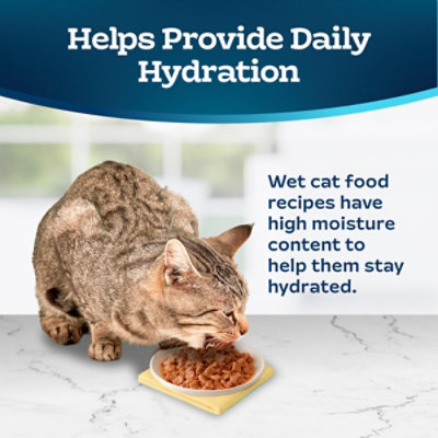 Blue Buffalo Tastefuls Natural Wet Food for Adult Cats Chicken Entree Morsels in Gravy - 5.5 Oz - Image 7