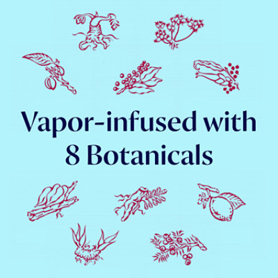 Bombay Bramble Flavored Gin - 750 Ml - Image 5