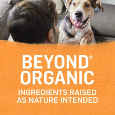 Beyond Organic Cat Food Wet Chicken & Carrot - 13 Oz - Image 2