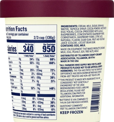 Tillamook Dark Chocolate & Red Raspberry Frozen Custard Dessert - 15 Fl. Oz. - Image 8