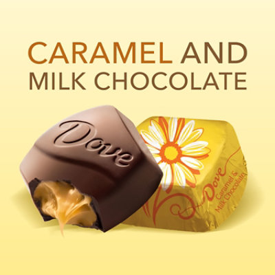 Dove Promises Easter Candy Caramel & Milk Chocolate Candy Assortment - 7.94 Oz - Image 3