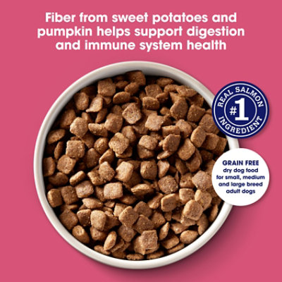Natures Recipe Grain Free Salmon Sweet Potato & Pumpkin - 4 LB - Image 2