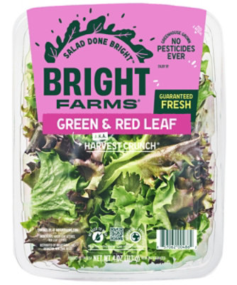フラワー・リース sunny lettuce Bright Farms Sunny Crunch - 8 OZ - randalls
