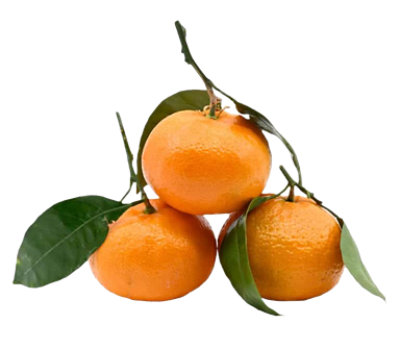 Mandarins Stem & Leaf Tote - 1 Lb