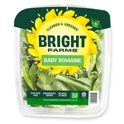 Bright Farms Mighty Romaine - 4 OZ - Image 2