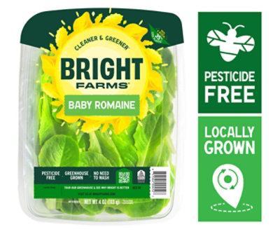 Bright Farms Mighty Romaine - 4 OZ - Image 1