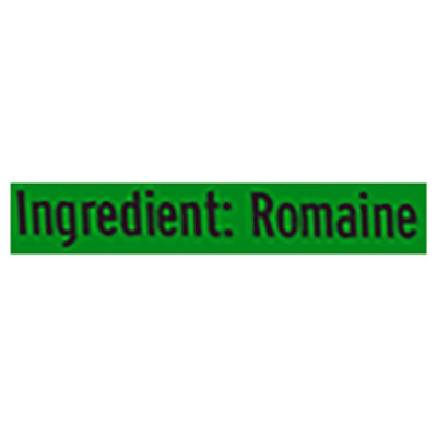 Bright Farms Mighty Romaine - 4 OZ - Image 3