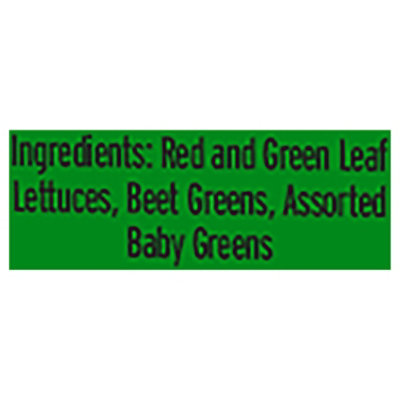 Bright Farms Spring Mix - 4 OZ - Image 2