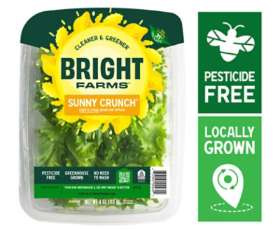 Bright Farms Sunny Crunch Lettuce - 4 Oz - Image 1