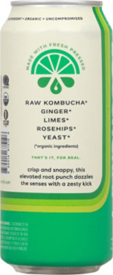 Boochcraft Organic Hard Kombucha Ginger Lime In Can - 16 Fl. Oz. - Image 5