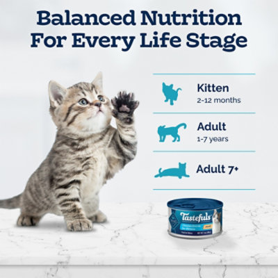 Blue Buffalo Tastefuls Wet Cat Food Pate for Kittens Chicken Entree Can - 3 Oz - Image 8