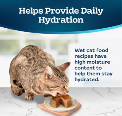 Blue Buffalo Tastefuls Wet Cat Food Pate Turkey and Chicken Entree Can - 5.5 Oz - Image 7