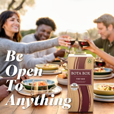 Bota Box Mini Nighthawk Black Wine Pinot Noir Lush - 500 Ml - Image 4