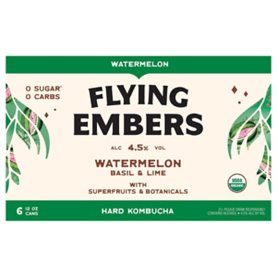 Flying Embers Hrd Kombucha Watermelon In Cans - 6-12 FZ - Image 3