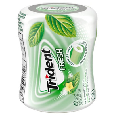 Trident Fresh Gum Spearmint Sugar Free - 40 CT - Image 1