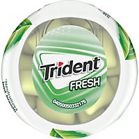 Trident Fresh Gum Spearmint Sugar Free - 40 CT - Image 4
