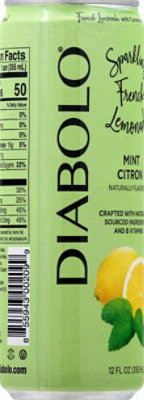 Diabolo Soda Mint Citron - 12 FZ - Image 6