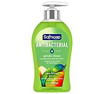 Softsoap Antibacterial Liquid Hand Soap Pump Gentle Clean Sparkling Pear - 11.25 Fl. Oz.