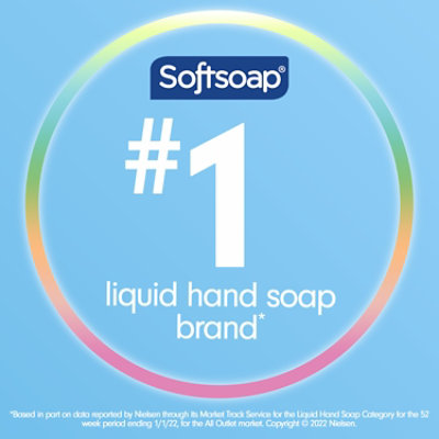 Softsoap Antibacterial Liquid Hand Soap Pump Clean & Protect Cool Splash - 11.25 Fl. Oz. - Image 1