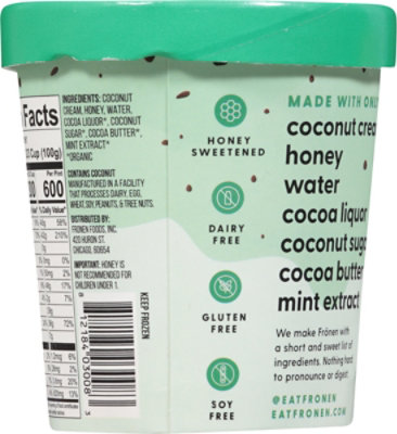 Fronen Ice Cream Mint Chip Df - 1 PT - Image 5