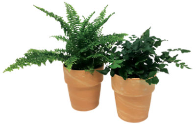Foliage Decorated - 4 INCH - Image 1