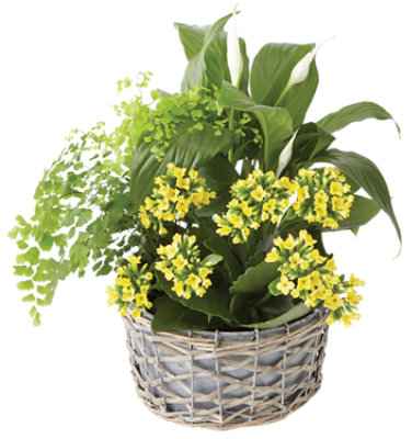 Euro Garden Custom Foliage - Each - Image 1