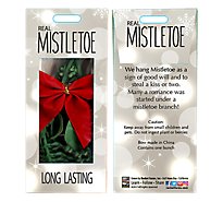 Mistletoe Display Gift Box - EA