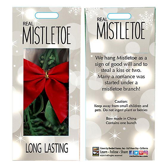 Mistletoe Display Gift Box - EA
