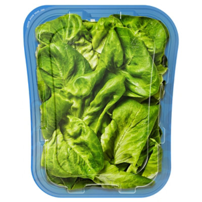 Bowery Baby Butter Lettuce - 4.5 OZ - Image 4