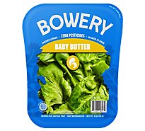 Bowery Baby Butter Lettuce - 4.5 OZ