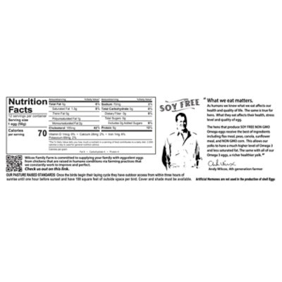 Wilcox Pasture Raised Brown Omega 3 Eggs - 12 CT - Image 4