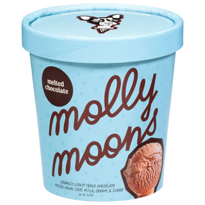 Molly Moon Ice Cream Chocolate - 18 OZ - Image 2