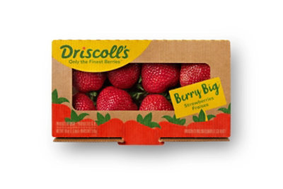 Driscoll Strawberries Berry Big 18 Oz 18 OZ Albertsons