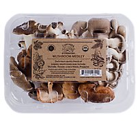 Organic Medley Mushrooms - Local - 6 Oz