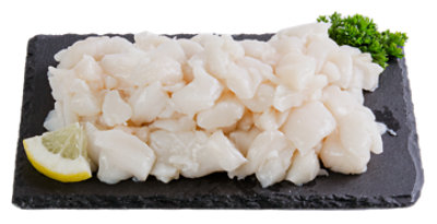 Fresh Wild Scallop Meat Saute Peices Wild, USA - 1 lb. - Image 1