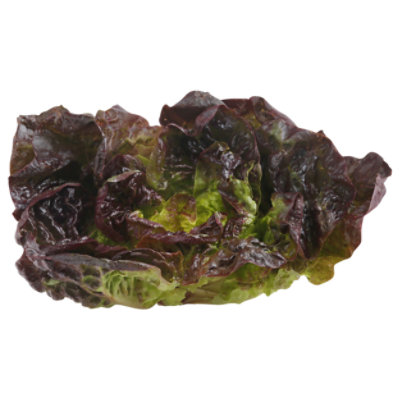 Lettuce Bibb Red - 1 Lb - Image 1