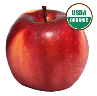 Calories in Extra Fancy Organic Gala Apples from Rainier Fruit Company