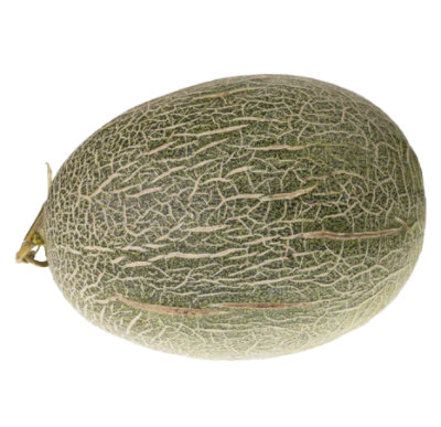 Organic Hami Melon - Image 1