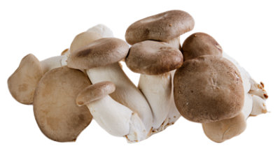 King Trumpet Mushrooms - Local - .25 Lb - Image 1