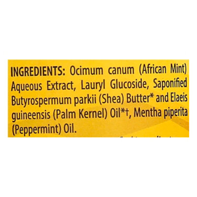 Alaffia Peppermint Black Soap - 16 FZ - Image 4