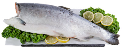 Coho Salmon Whole Farmed, Chile BAP4 Previously Frozen - 5 lbs. - Image 1