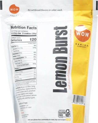 Lemon Burst 8 Oz Resealable Bag Pouch - 8 OZ - Image 6